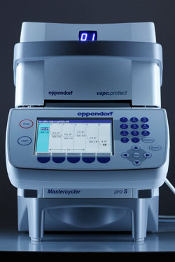 eppendorf 艾本德Mastercycler? pro 